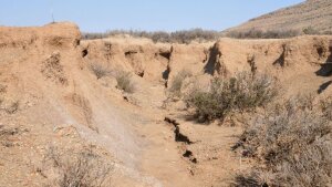 Tiefenlinienerosion in der Karoo, Südafrika, und Zerschneidung der landwirtschaftlichen Nutzfläche 