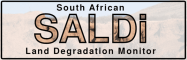 SALDi Logo klein