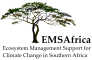 EMSAfrica Logo