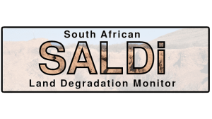 SALDi Logo